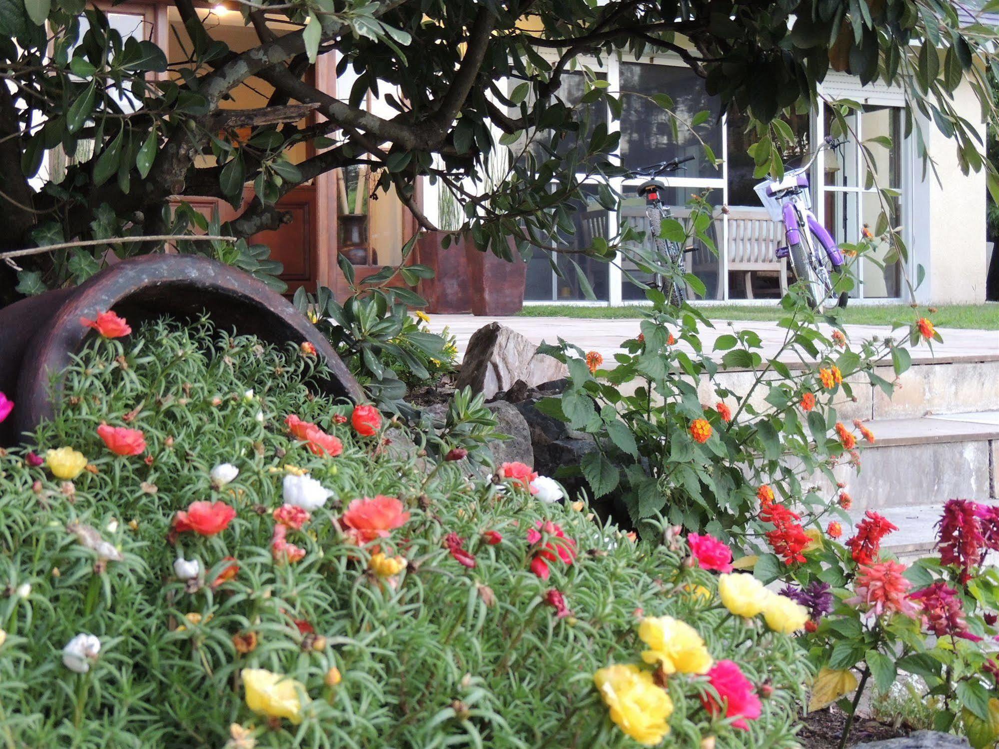 Petit Chateau Hotel Boutique Punta del Este Exterior photo